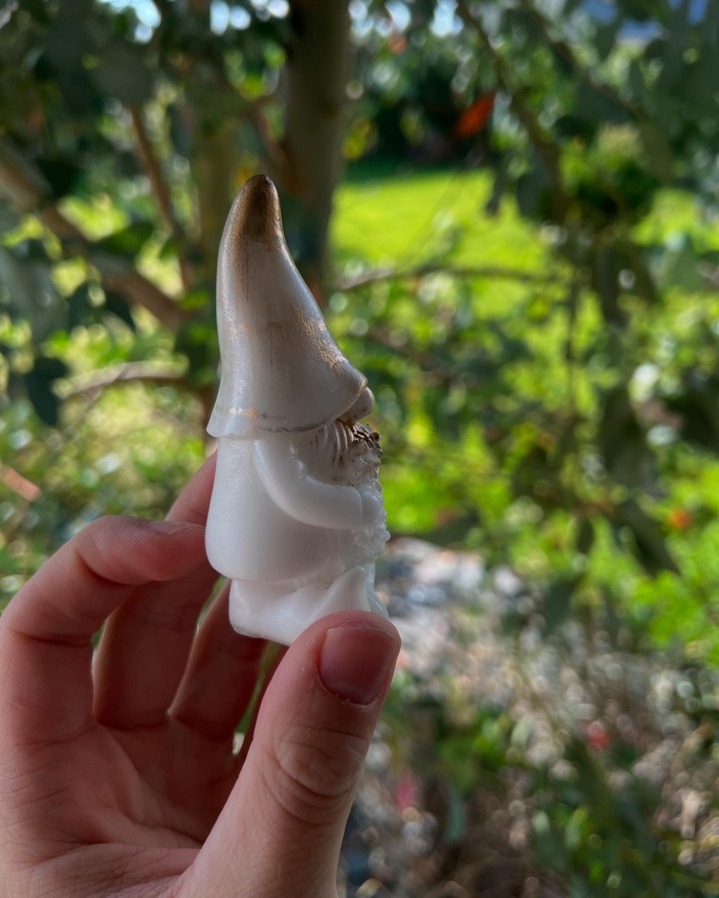 Gnome